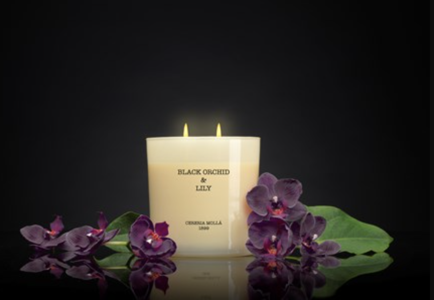 Black Orchid & Lily 3-Wick 21oz
