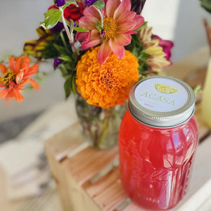 Hibiscus Margarita