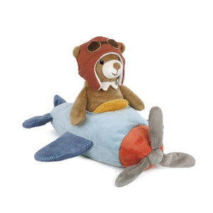 Pilot Bear And Plane