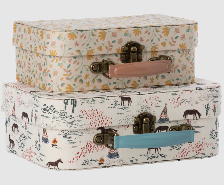 Suitcase Set, 2 Pc. Pony