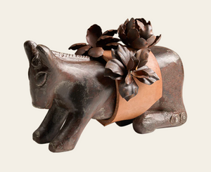 Mini Burro D'Flores
