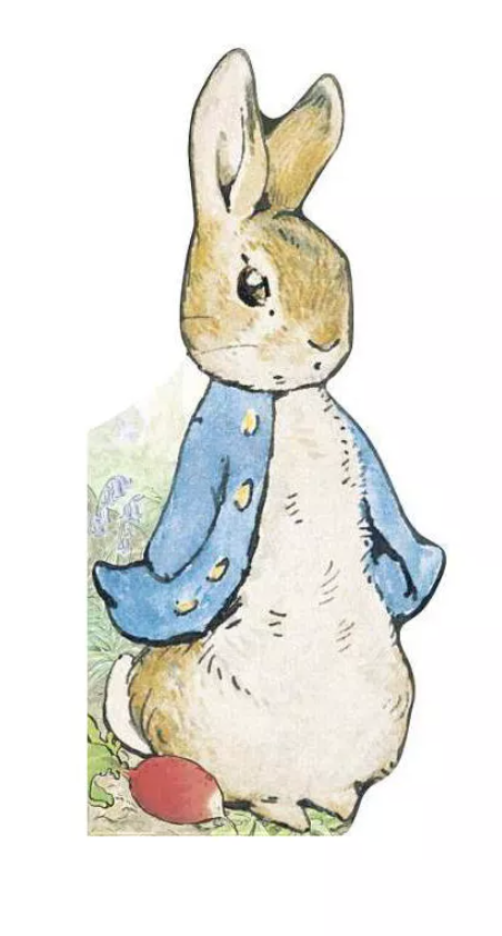 Peter Rabbit Book