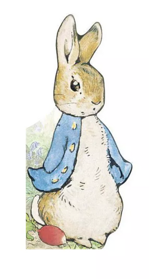 Peter Rabbit Book
