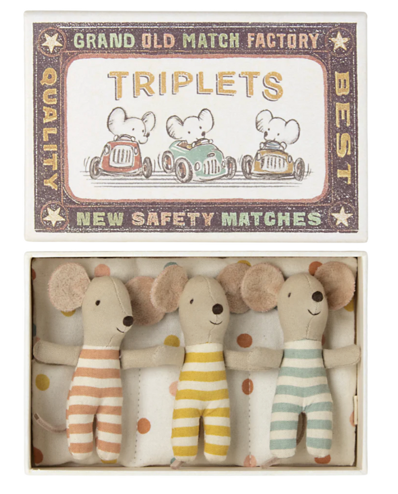 Triplets, Baby Mice in Matchbox