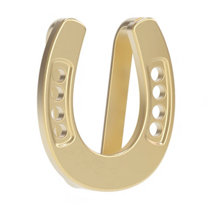 Horseshoe Skinny Scarf Slider