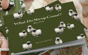 What Do Sheep Count?