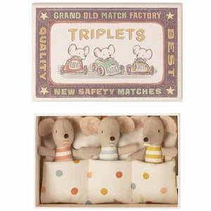 
            
                Load image into Gallery viewer, Triplets, Baby Mice in Matchbox
            
        