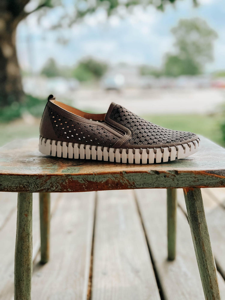 Falcon Tulip Shoe Slip On